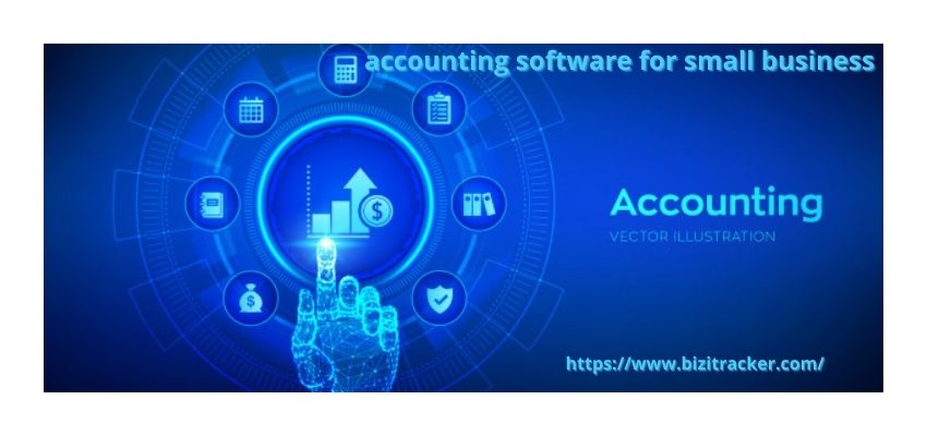 multiledger accounting software