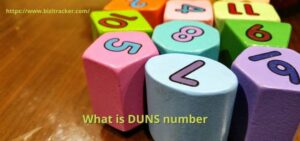 What is the DUNS Number