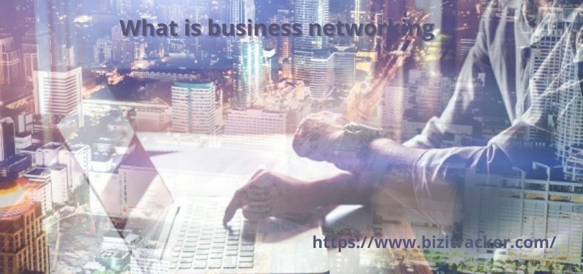 What is business networking